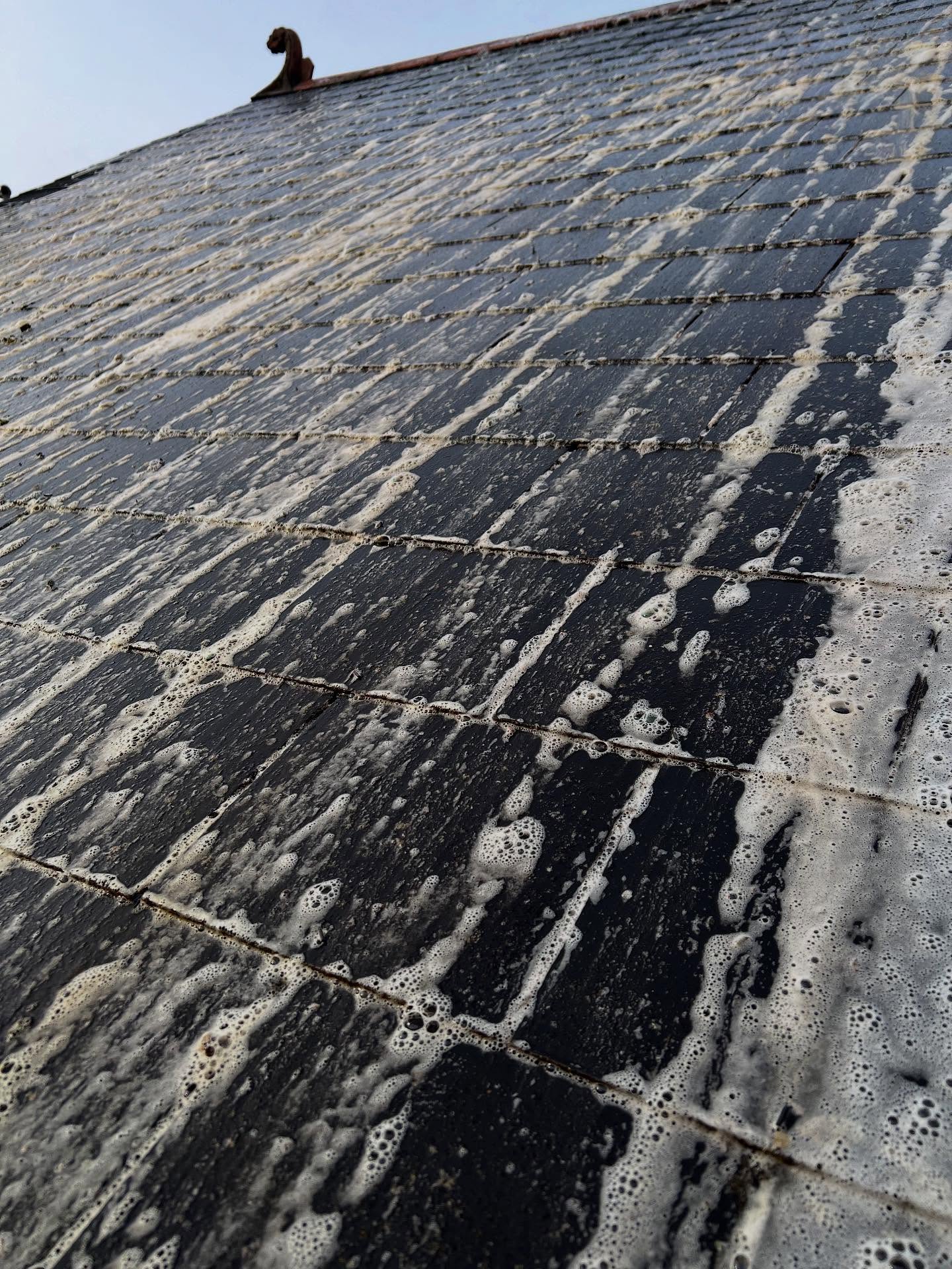 Driveway Cleaning in Cardiff